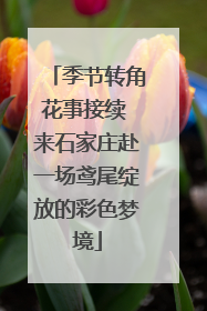 季节转角花事接续 来石家庄赴一场鸢尾绽放的彩色梦境