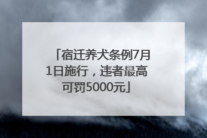 宿迁养犬条例7月1日施行，违者最高可罚5000元
