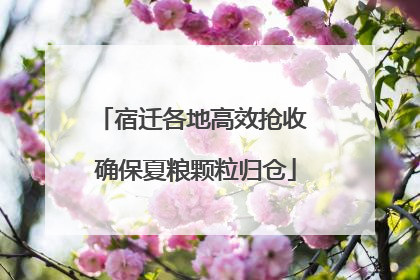 宿迁各地高效抢收 确保夏粮颗粒归仓