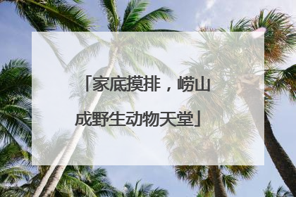 家底摸排，崂山成野生动物天堂