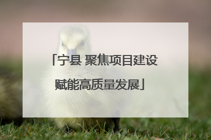 宁县 聚焦项目建设 赋能高质量发展