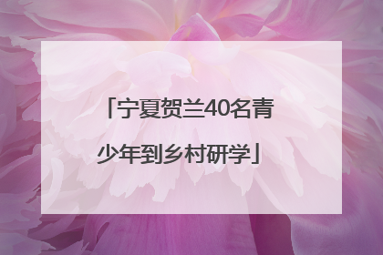宁夏贺兰40名青少年到乡村研学