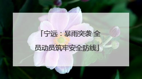 宁远：暴雨突袭 全员动员筑牢安全防线