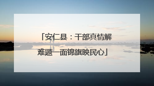 安仁县：干部真情解难题一面锦旗映民心