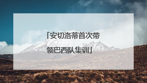 安切洛蒂首次带领巴西队集训