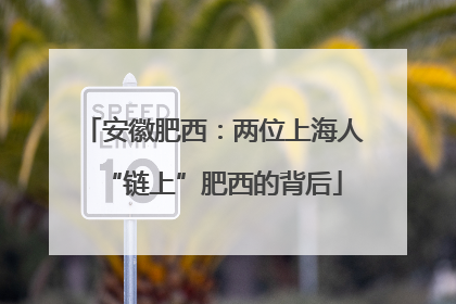 安徽肥西：两位上海人“链上”肥西的背后