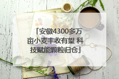 安徽4300多万亩小麦丰收有望 科技赋能颗粒归仓