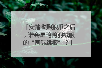 安踏收购狼爪之后，谁会是鸭鸭羽绒服的“国际跳板”？