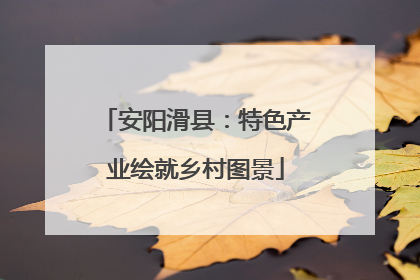 安阳滑县：特色产业绘就乡村图景