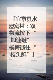 宜章县水浸窝村：双物流按下“加速键” 杨梅锁住“枝头鲜”