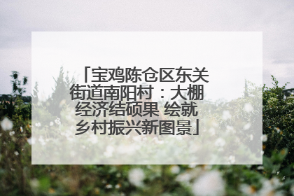 宝鸡陈仓区东关街道南阳村：大棚经济结硕果 绘就乡村振兴新图景