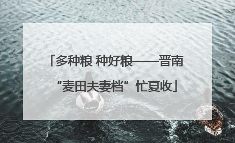 多种粮 种好粮——晋南“麦田夫妻档”忙夏收