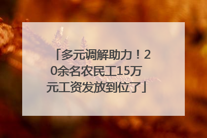 多元调解助力！20余名农民工15万元工资发放到位了
