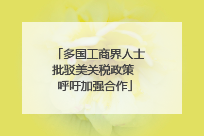 多国工商界人士批驳美关税政策 呼吁加强合作