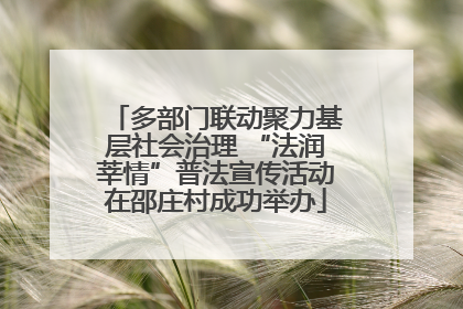 多部门联动聚力基层社会治理 “法润莘情”普法宣传活动在邵庄村成功举办