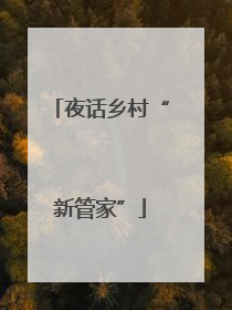 夜话乡村“新管家”