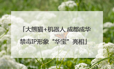 大熊猫+机器人 成都成华禁毒IP形象“华宝”亮相