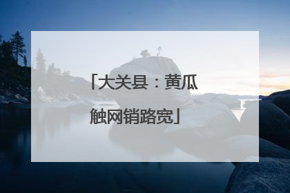 大关县：黄瓜触网销路宽