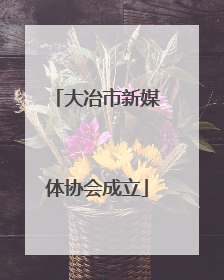 大冶市新媒体协会成立