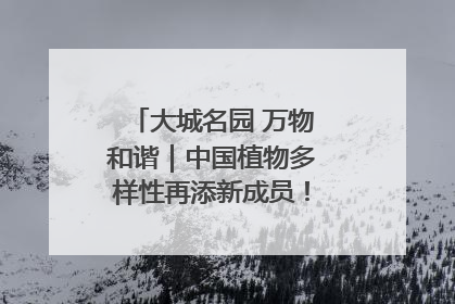 大城名园 万物和谐｜中国植物多样性再添新成员！它只在西藏墨脱