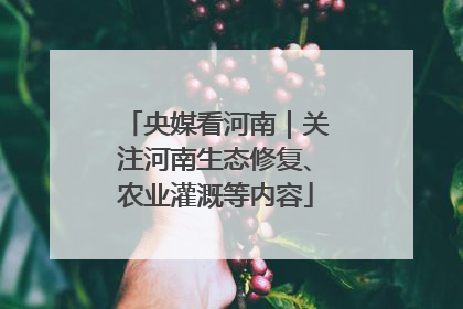 央媒看河南｜关注河南生态修复、农业灌溉等内容