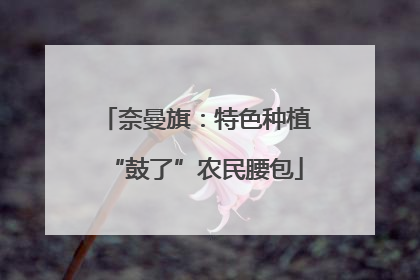 奈曼旗：特色种植“鼓了”农民腰包