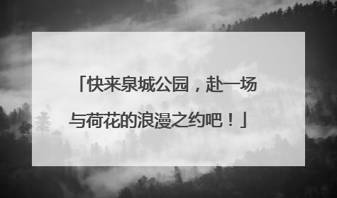 快来泉城公园，赴一场与荷花的浪漫之约吧！