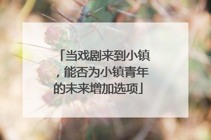 当戏剧来到小镇，能否为小镇青年的未来增加选项