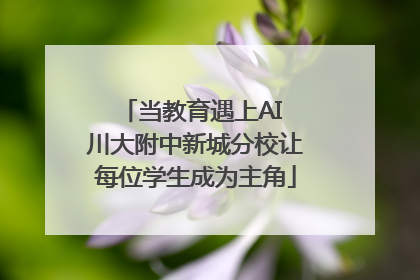 当教育遇上AI 川大附中新城分校让每位学生成为主角