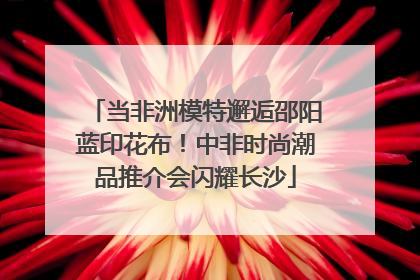 当非洲模特邂逅邵阳蓝印花布！中非时尚潮品推介会闪耀长沙