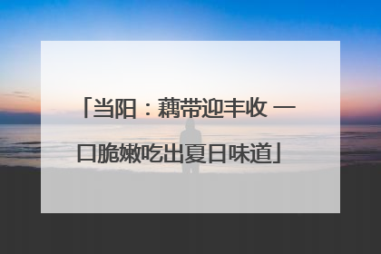 当阳：藕带迎丰收 一口脆嫩吃出夏日味道