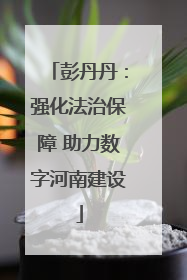 彭丹丹：强化法治保障 助力数字河南建设