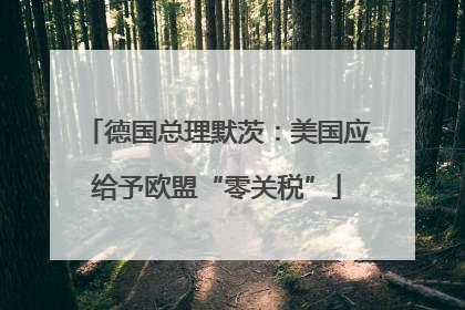 德国总理默茨：美国应给予欧盟“零关税”