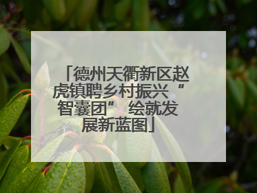 德州天衢新区赵虎镇聘乡村振兴“智囊团” 绘就发展新蓝图