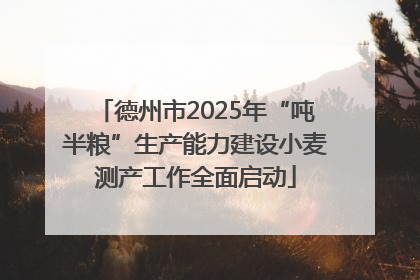 德州市2025年“吨半粮”生产能力建设小麦测产工作全面启动