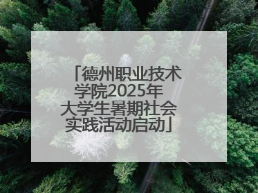 德州职业技术学院2025年大学生暑期社会实践活动启动
