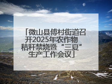 微山县傅村街道召开2025年农作物秸秆禁烧暨“三夏”生产工作会议