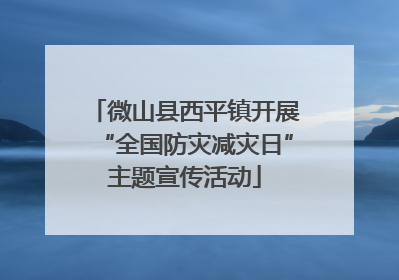微山县西平镇开展“全国防灾减灾日”主题宣传活动