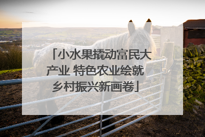 小水果撬动富民大产业 特色农业绘就乡村振兴新画卷