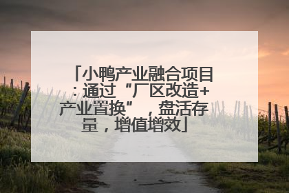 小鸭产业融合项目：通过“厂区改造+产业置换”，盘活存量，增值增效