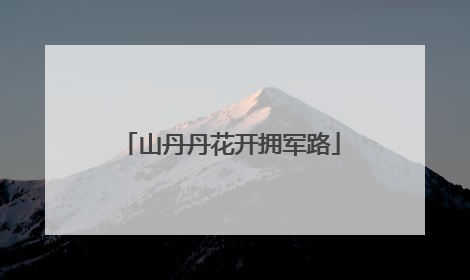 山丹丹花开拥军路
