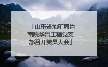 山东省地矿局鲁南院华鲁工程党支部召开党员大会