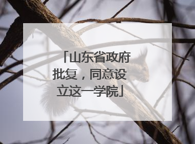山东省政府批复，同意设立这一学院