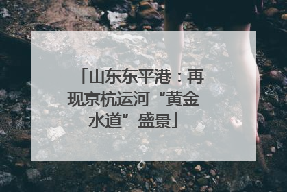 山东东平港：再现京杭运河“黄金水道”盛景