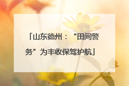 山东德州：“田间警务”为丰收保驾护航