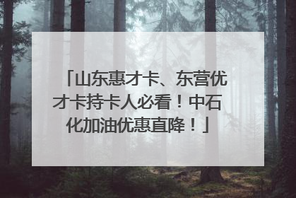 山东惠才卡、东营优才卡持卡人必看！中石化加油优惠直降！
