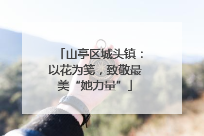 山亭区城头镇：以花为笺，致敬最美“她力量”