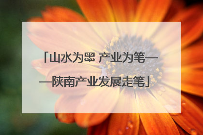 山水为墨 产业为笔——陕南产业发展走笔