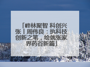 峰林聚智 科创兴张丨周伟良：执科技创新之笔，绘就张家界药谷新篇