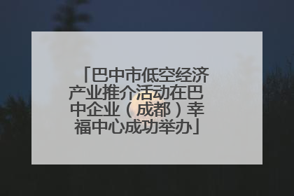 巴中市低空经济产业推介活动在巴中企业（成都）幸福中心成功举办